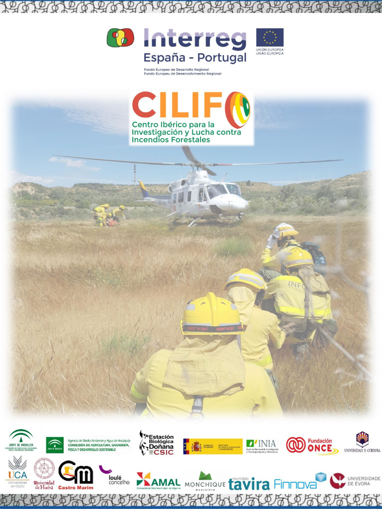 Centro Ibérico para a Investigação e Combate aos Incêndios Florestais com novo site