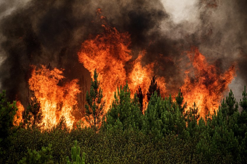 Universidade de Évora com dois novos projetos aprovados na área da investigação e combate aos incêndios florestais