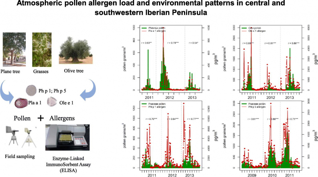 Atmospheric pollen allergen load and environmental patterns in central and southwestern Iberian Peninsula