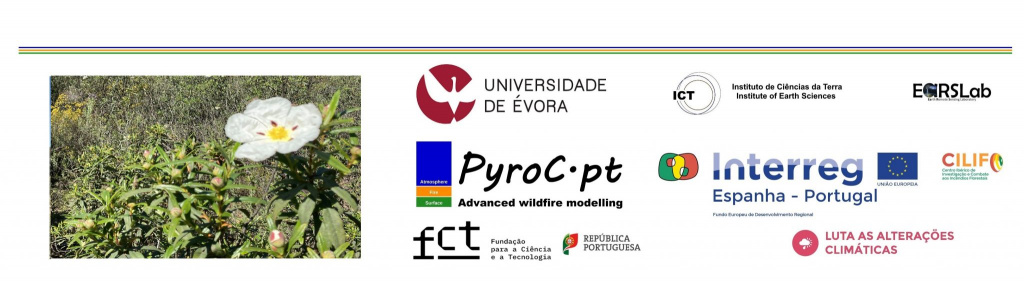 Investigadores do ICT publicam estudo sobre melhoria da representação da vegetação através de deteção remota