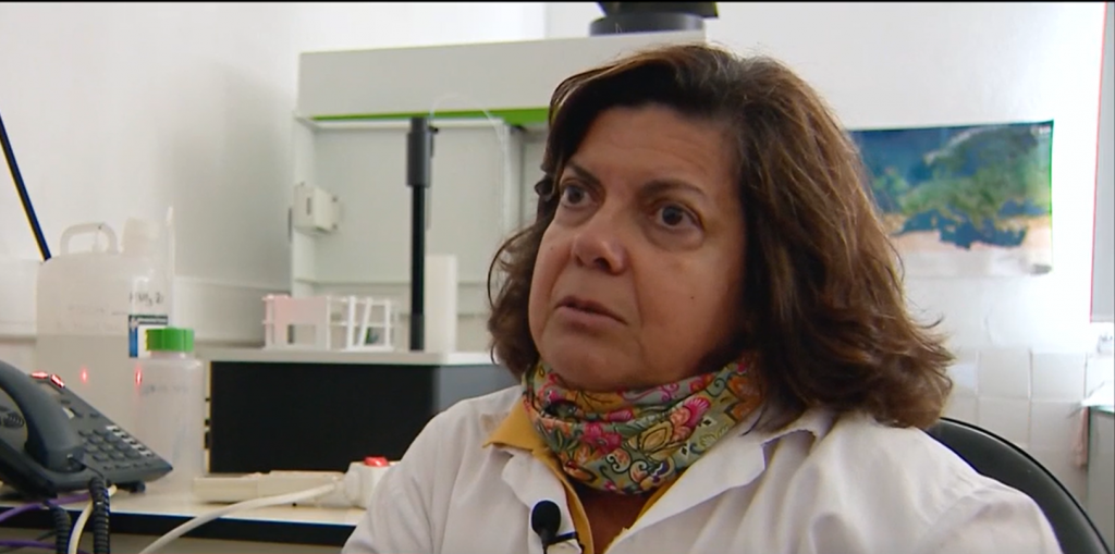 Equipa do ICT / AmbiTerra em notícia: Detetadas altas concentrações de metais pesados numa antiga mina em Grândola