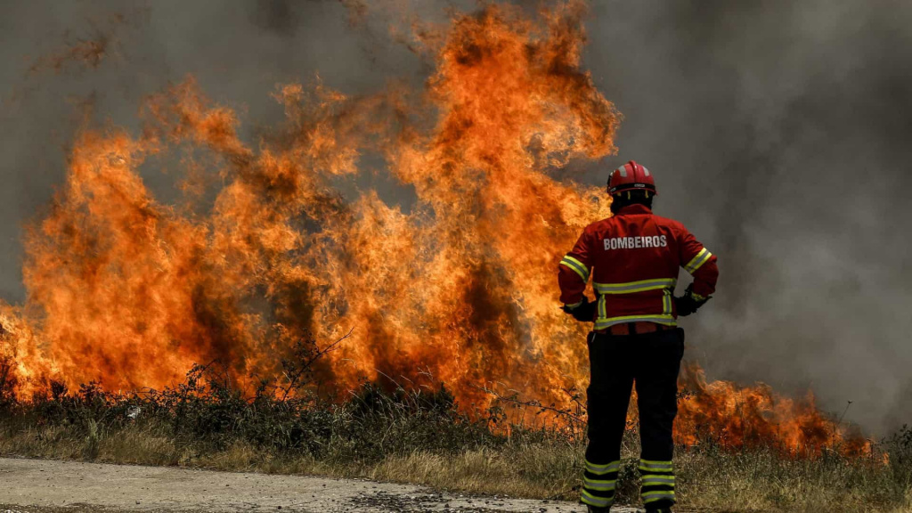 Como a ciência pode ajudar a mitigar os incêndios florestais? Sérgio Godinho e Nuno Guiomar na Rádio Ciência, Diana FM
