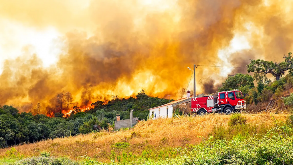 Incêndios florestais afetam a saúde pública em Portugal